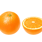 食品　オレンジ