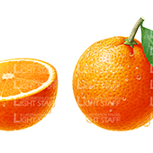 フーズ　オレンジ